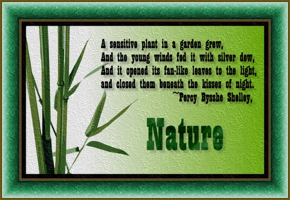 NATURE SPEAKS