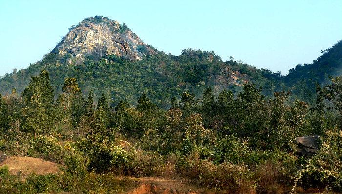 day view of joychandi